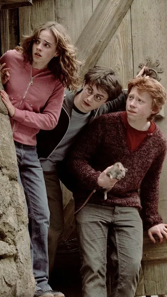 Conheça o Novo Trio de Harry Potter e Suas Expectativas Para a Nova Série